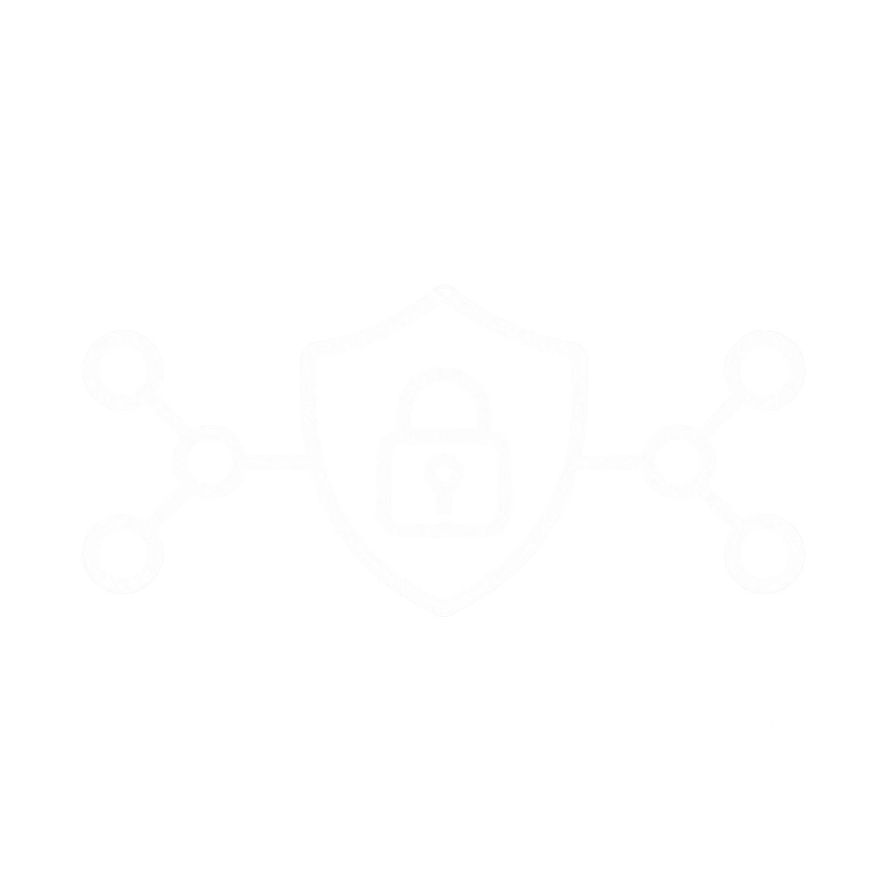 Security Edge Protection Proxy